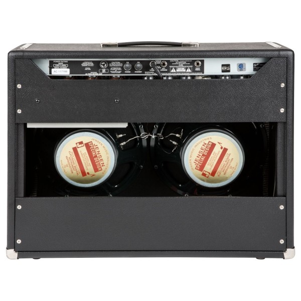 Fender 65 Twin Reverb Amp - back