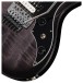 Gibson Victory Floyd Rose, Translucent Ebony Burst​ - controls