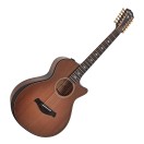 Taylor Builder's Edition 652ce 12-String Electro Acoustic, Wild Honey Burst