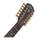 Taylor Builder's Edition 652ce 12-String Electro Acoustic, Wild Honey Burst - headstock