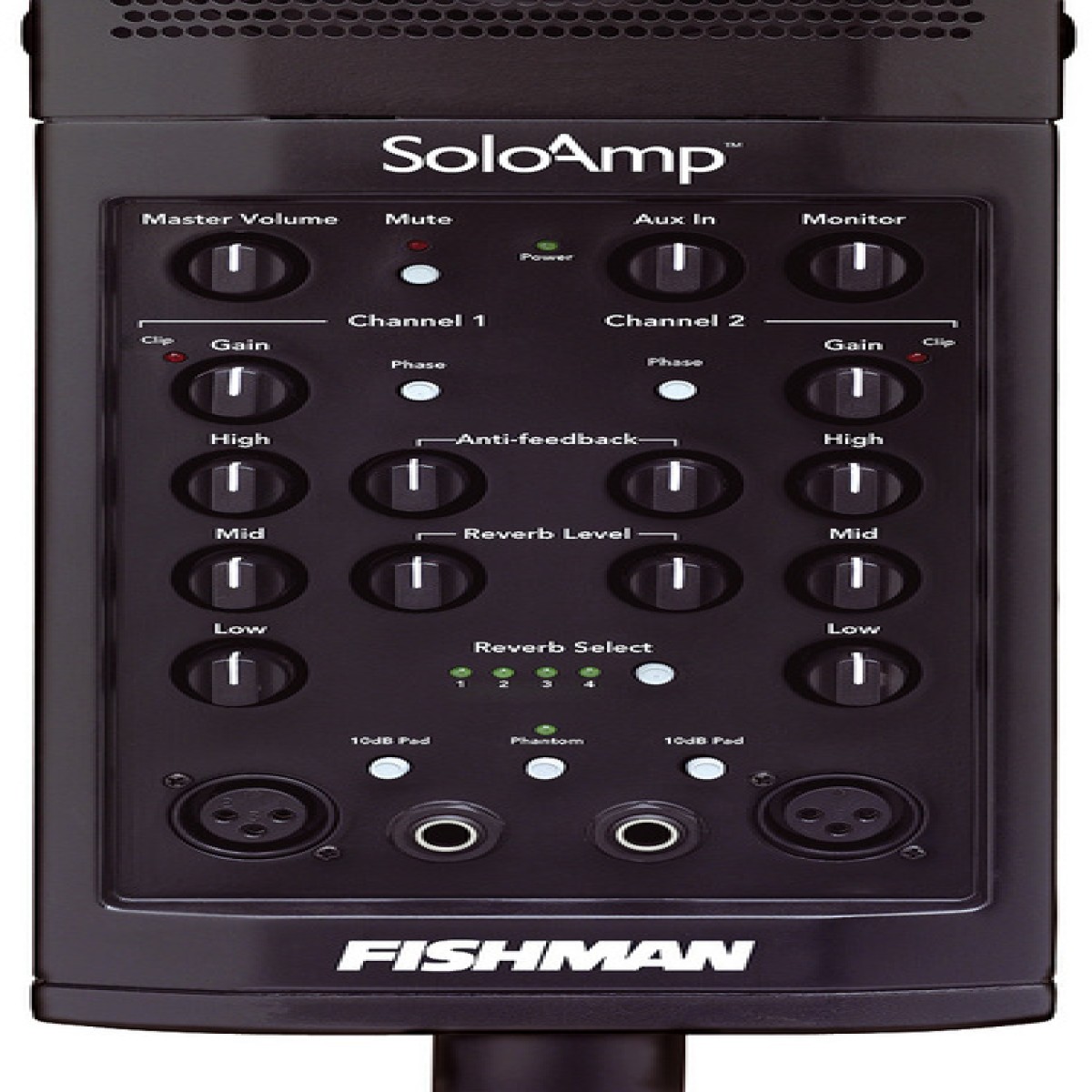 Fishman SA220 SoloAmp Portable Active PA / Backline Speaker at Gear4music