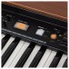 Crumar DK61 61-Key Waterfall MIDI Controller for Organ Players - Detail 5