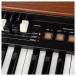 Crumar DK61 61-Key Waterfall MIDI Controller for Organ Players - Detail 6