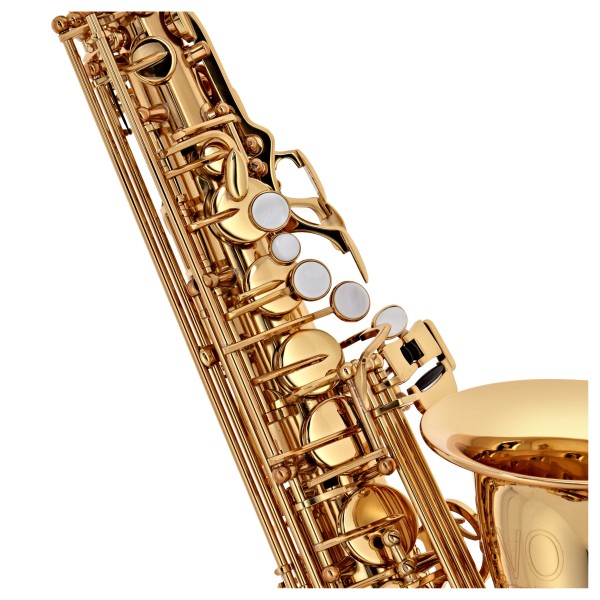Trevor James Evo Alto Sax Gold Lacquer