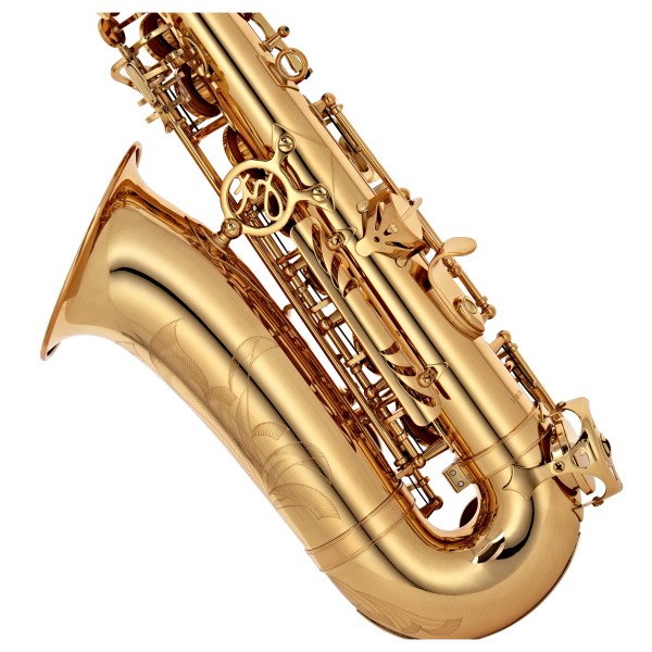 Trevor James Evo Alto Sax Gold Lacquer