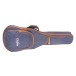 Cordoba Stage Nylon Guitar, Edge Burst