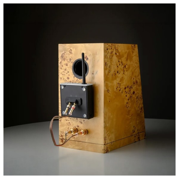 Pro Ject Wireless Box E (single), Black - lifestlye 2 