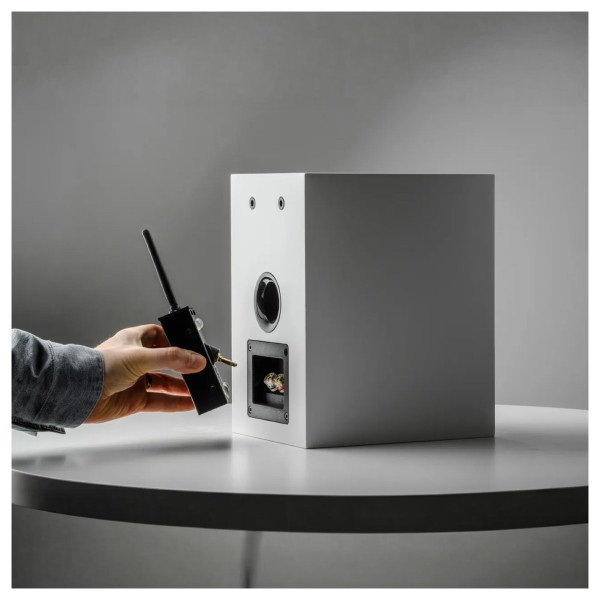 Pro Ject Wireless Box E (single), Silver - lifestyle 1