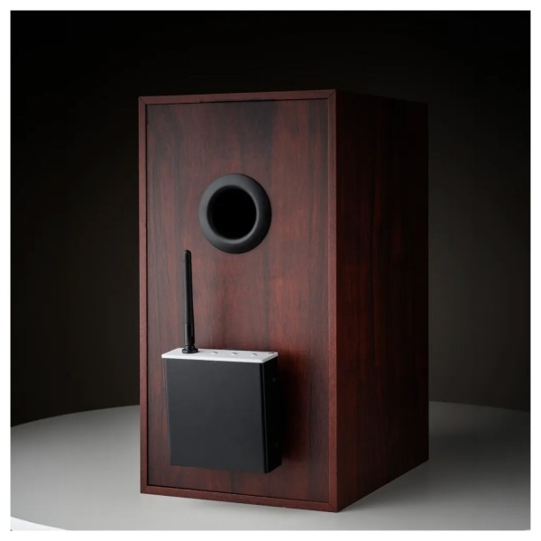 Pro Ject Wireless Box E (single), Silver - lifestyle 3