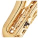 Selmer Paris Axos Alto Saxophone Outfit, Gold Lacquer