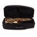 Selmer Paris Axos Alto Saxophone Outfit, Gold Lacquer