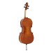 Eastman Master Cello Outfit with Gold Level Set Up