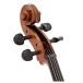 Eastman Master Cello Outfit with Gold Level Set Up