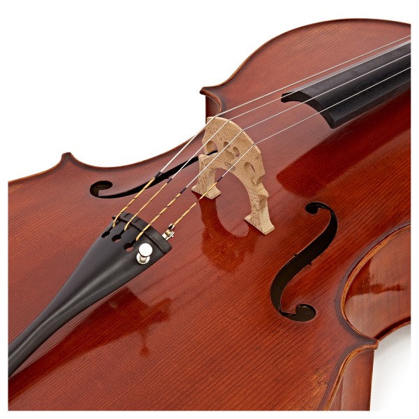 Eastman Master Cello Outfit with Gold Level Set Up