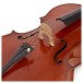Eastman Master Cello Outfit with Gold Level Set Up
