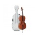 Eastman Master Cello Outfit with Gold Level Set Up