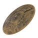 Sabian 19