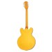 Epiphone Sheraton Frequensator, Natural back