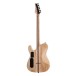Schecter PT SLS Elite, Black Fade Burst, Back
