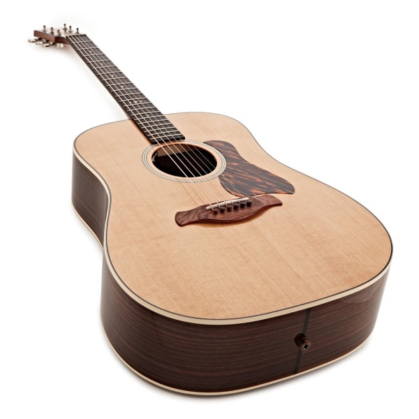 Taylor Gold Label 710e - angled shot