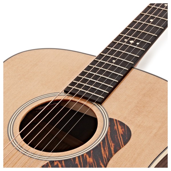 Taylor Gold Label 710e - soundhole