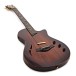 Taylor T5z Custom Koa - angled shot
