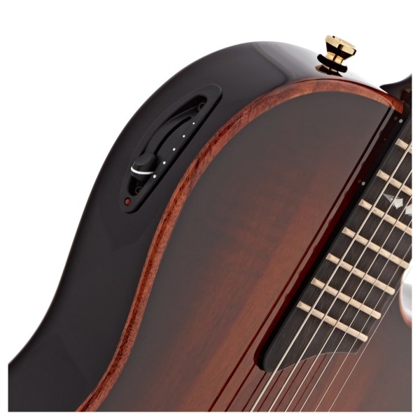 Taylor T5z Custom Koa - controls