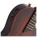 Taylor T5z Custom Koa - controls