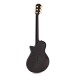 Taylor T5z Custom Koa - back