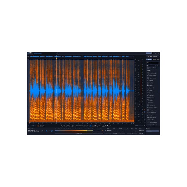 iZotope RX 12