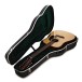 Martin HD12-28 (2025) - guitar in case