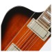 Epiphone Firebird, Vintage Sunburst - neck pickup