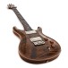 PRS DGT Moons, Tiger Eye #0419032 - angled shot