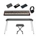 Viscount Legend 70's Artist W EX Modular Stage Piano Mark II Package BOM