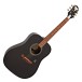 Epiphone Pro-1 Acoustic, Black