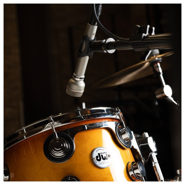 Warm Audio WA-19 Dynamic Studio Microphone, Nickel - Lifestyle 4