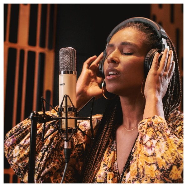 Warm Audio WA-251 Tube Condenser Microphone - Lifestyle