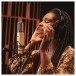 Warm Audio WA-251 Tube Condenser Microphone - Lifestyle 2