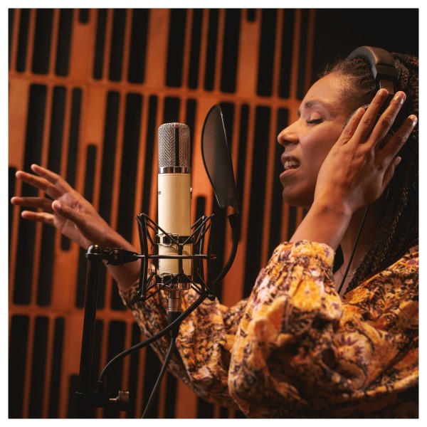 Warm Audio WA-251 Tube Condenser Microphone - Lifestyle 3