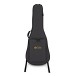 Martin D-15M StreetMaster - case
