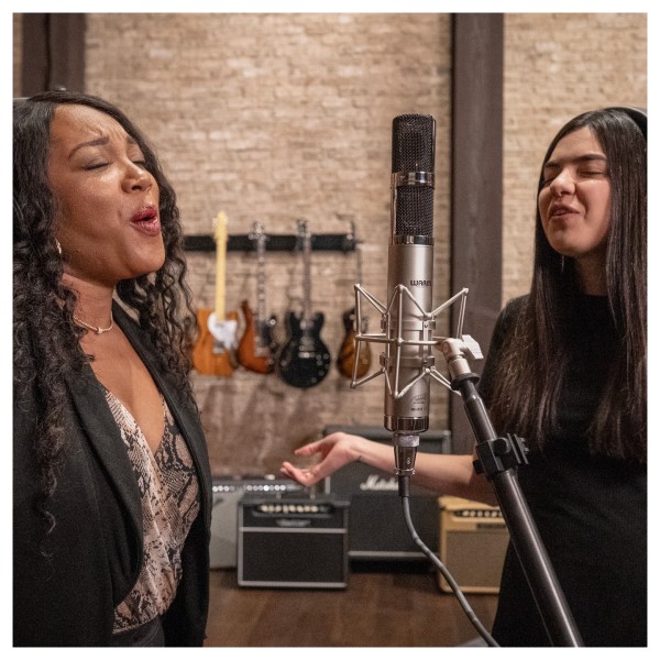 Warm Audio WA-CX24 Stereo Tube Condenser Microphone - Lifestyle