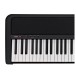 Korg XE20 Ensemble Digital Piano