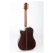 Takamine P5DC Dreadnought Electro Acoustic, Natural - backl