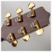 Takamine P5DC Dreadnought Electro Acoustic, Natural - headstock back
