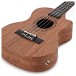 Tanglewood TWT14E Tiare Tenor Size Electro Ukulele