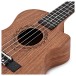Tanglewood TWT14E Tiare Tenor Size Electro Ukulele