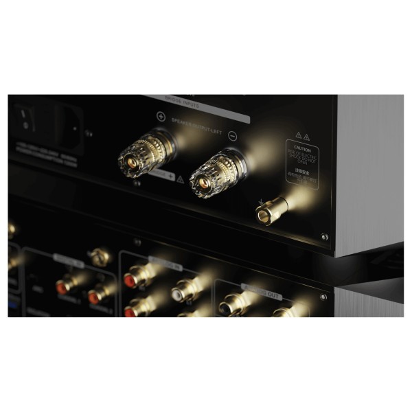 Eversolo AMP-F10 Power Amplifier - ports render 