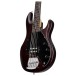 Sterling StingRay 5 RAY5, Walnut Satin - body