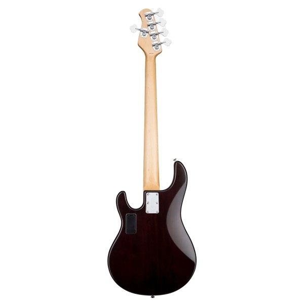 Sterling StingRay 5 RAY5, Walnut Satin - back