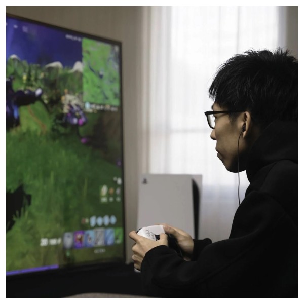 Final VR500 Gaming Earphone with Controller & Mic - Lifestyle 2